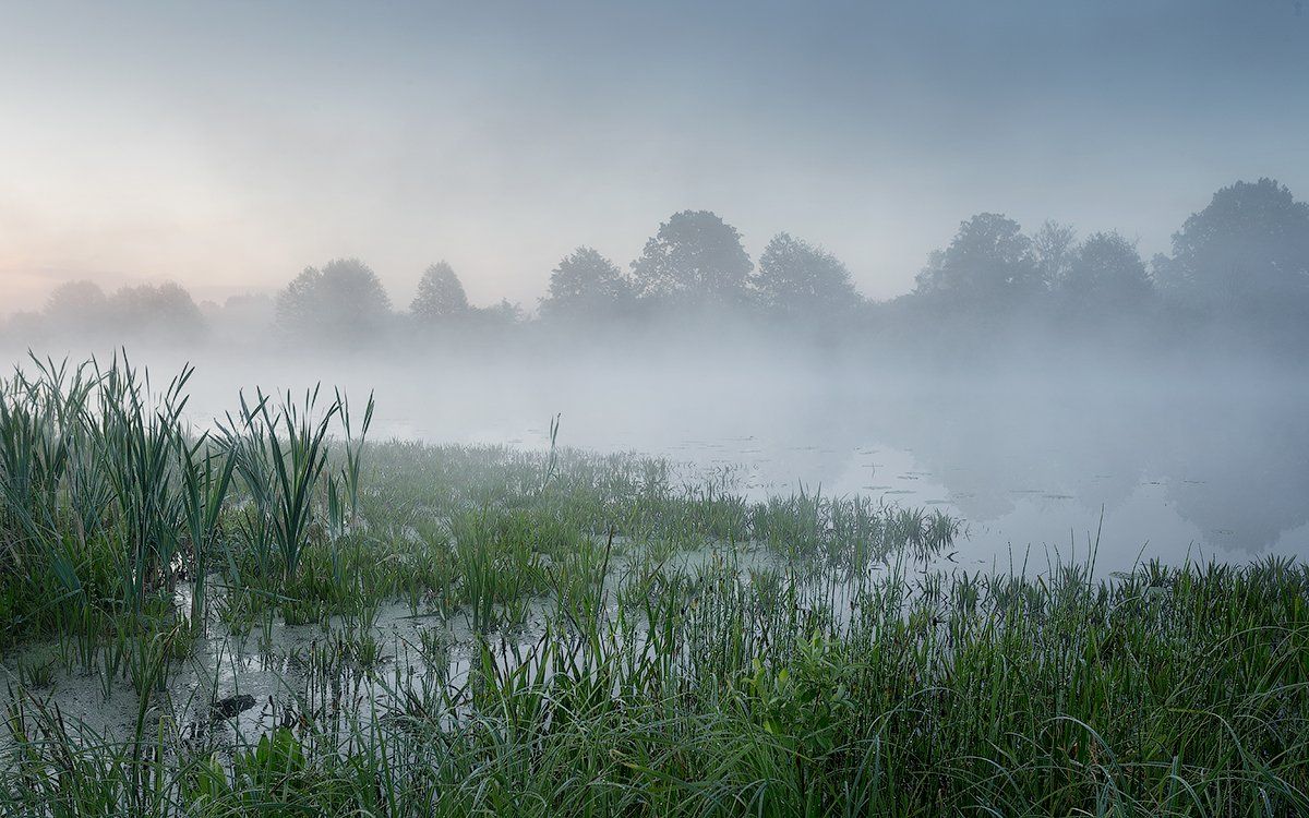 природа утро солнце туман озеро берег трава, Михаил Корнилов