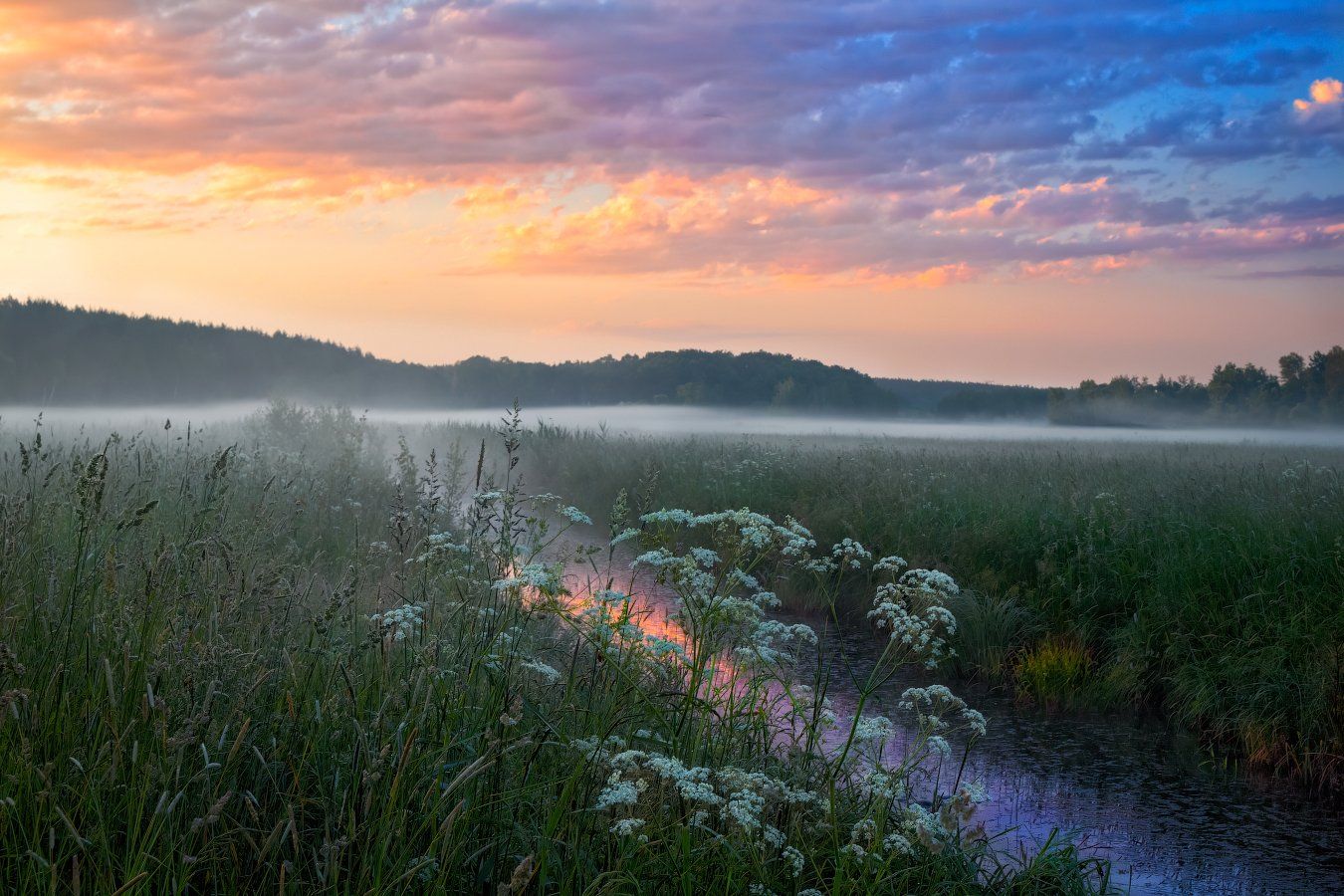 Рассвет в начале лета. Фотограф Сергей Шабуневич