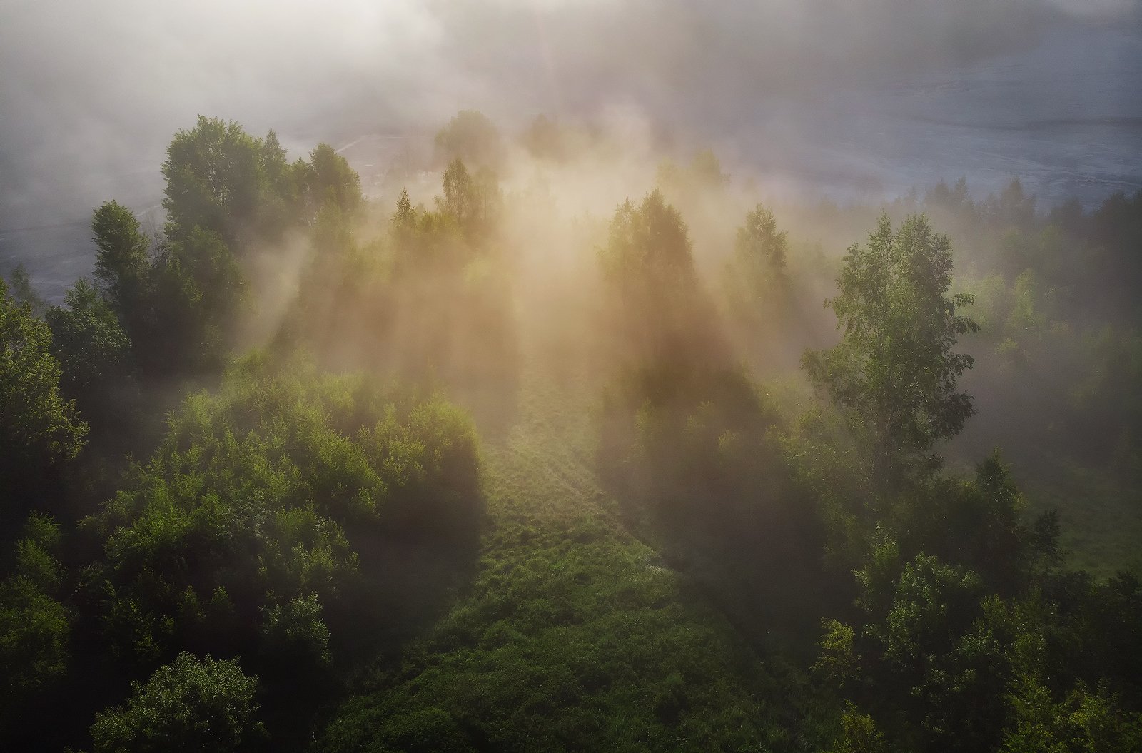 summer, trees, fog, green, sunrise, travel, nature, light, romania, morning, landscape, Lazar Ioan Ovidiu