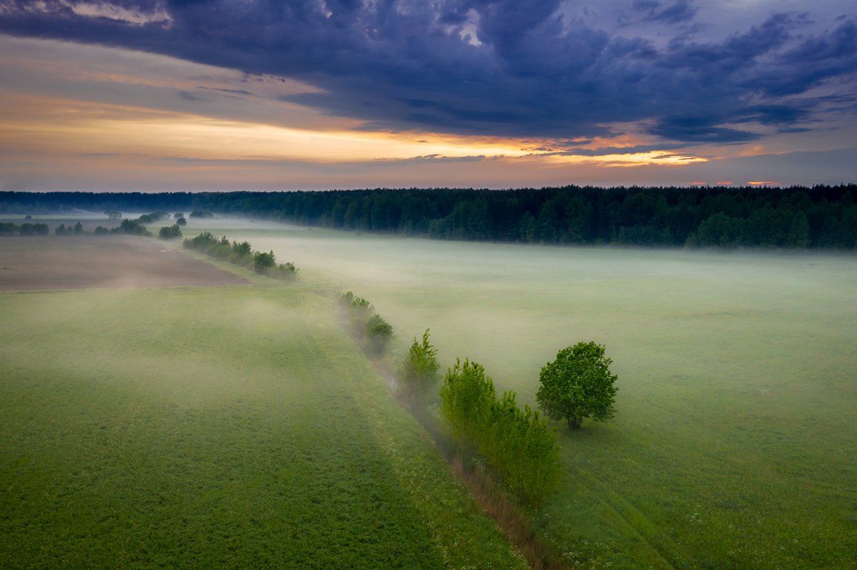 туман, поле, лес, Вячеслав Мельников