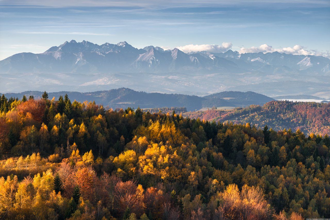 #forest #mountains #autumn #sunset #nature #panoramic #landscapes, Rafał Bujakowski
