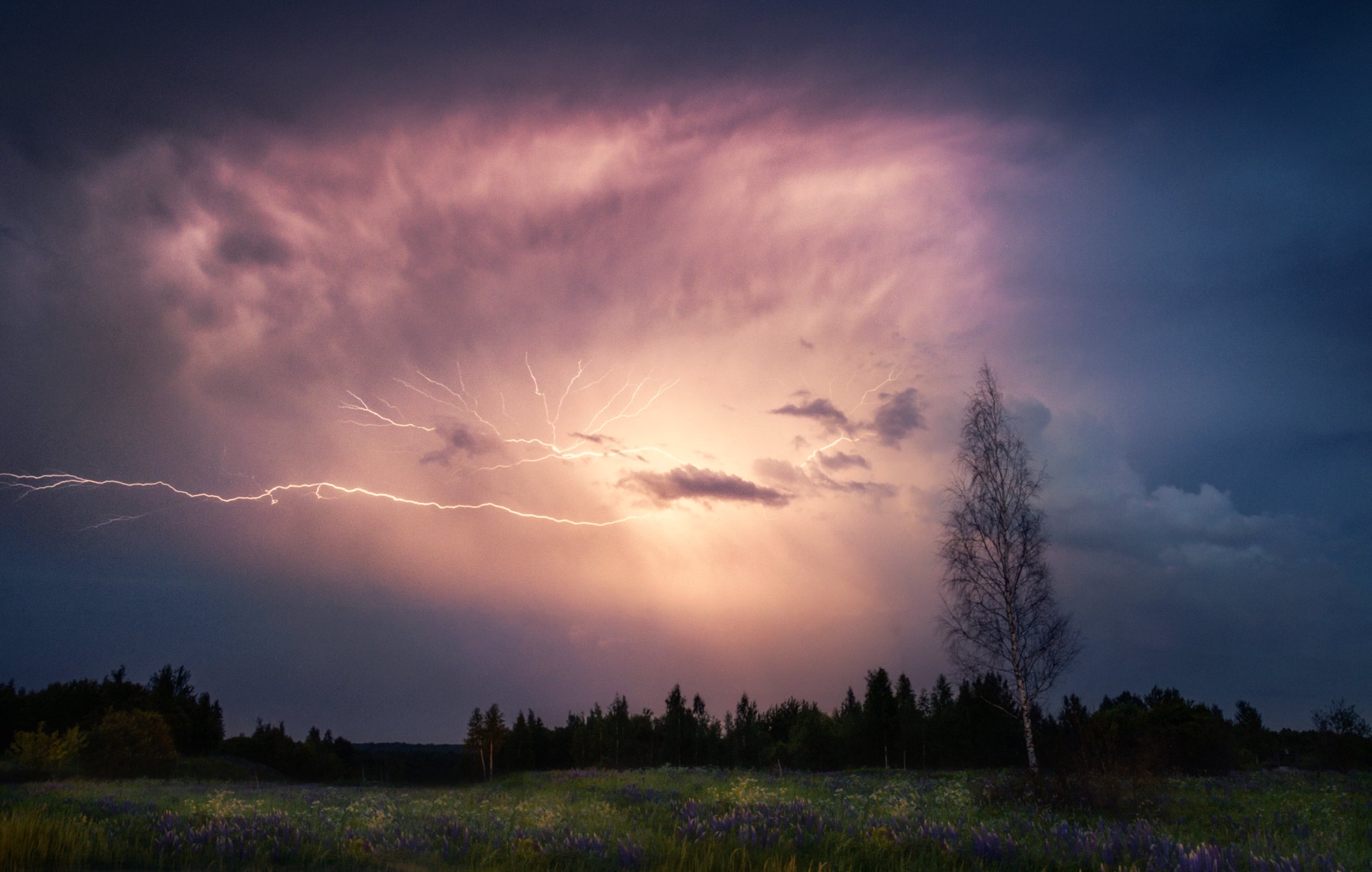 гроза, природа, пейзаж, небо, ночь, thunderstorm, nature, landscape, sky, night,, Алексей Сергованцев