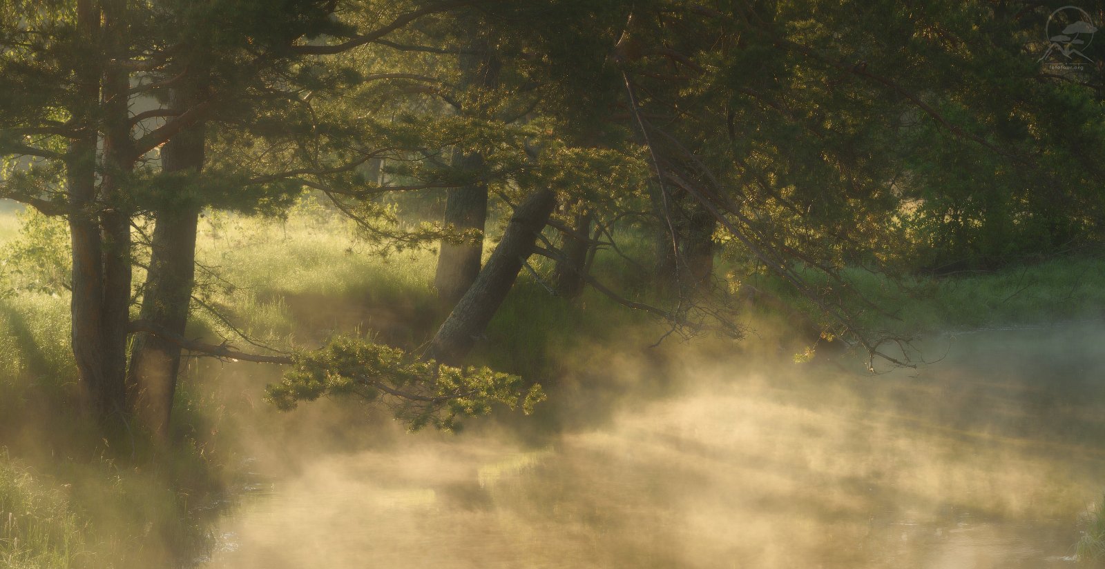 река, лето, утро, туман, Анатолий Гордиенко