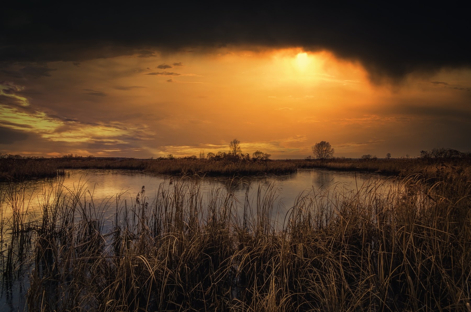 Нет людей На улице Природа отражение вода Облако - Небо Озеро Небо Сценики - Природа Закат солнца Спокойная сцена спокойствие Пейзаж - Декорации Красота в природе дерево Негородская сцена, Андрей Ожерельев