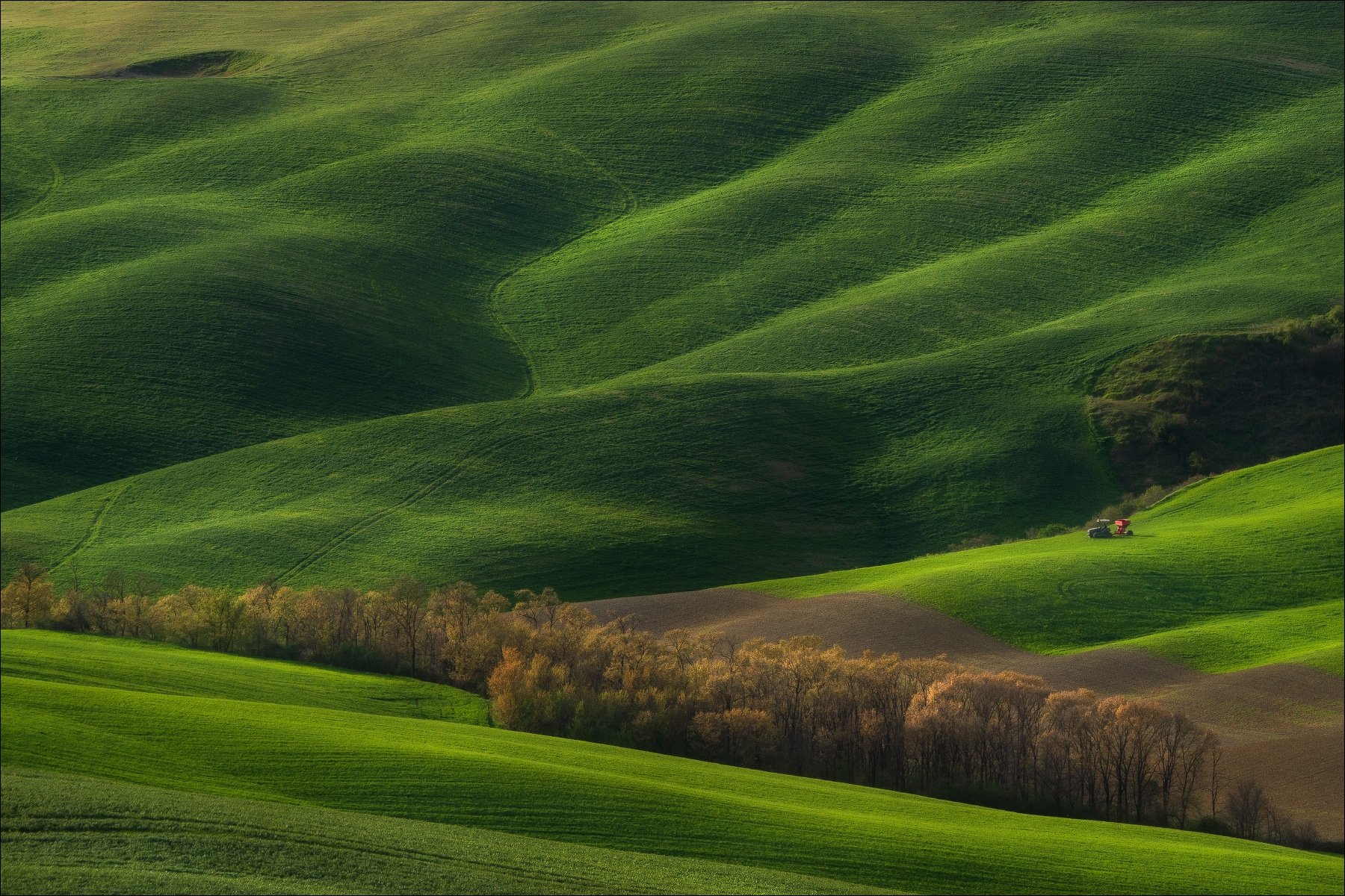 tuscany, тоскана, путешествие по тоскане, tuscany photos landscape, весенняя тоскана, пейзажи тосканы, tuscany landscape photography, Татьяна Ефименко