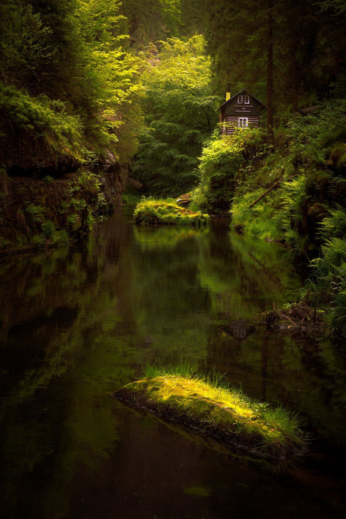 landscape, spring, forest, river, gorge, gorges, rocks, trees, water, reflection, cottage, house, czech republic, green, Luboš Prchal