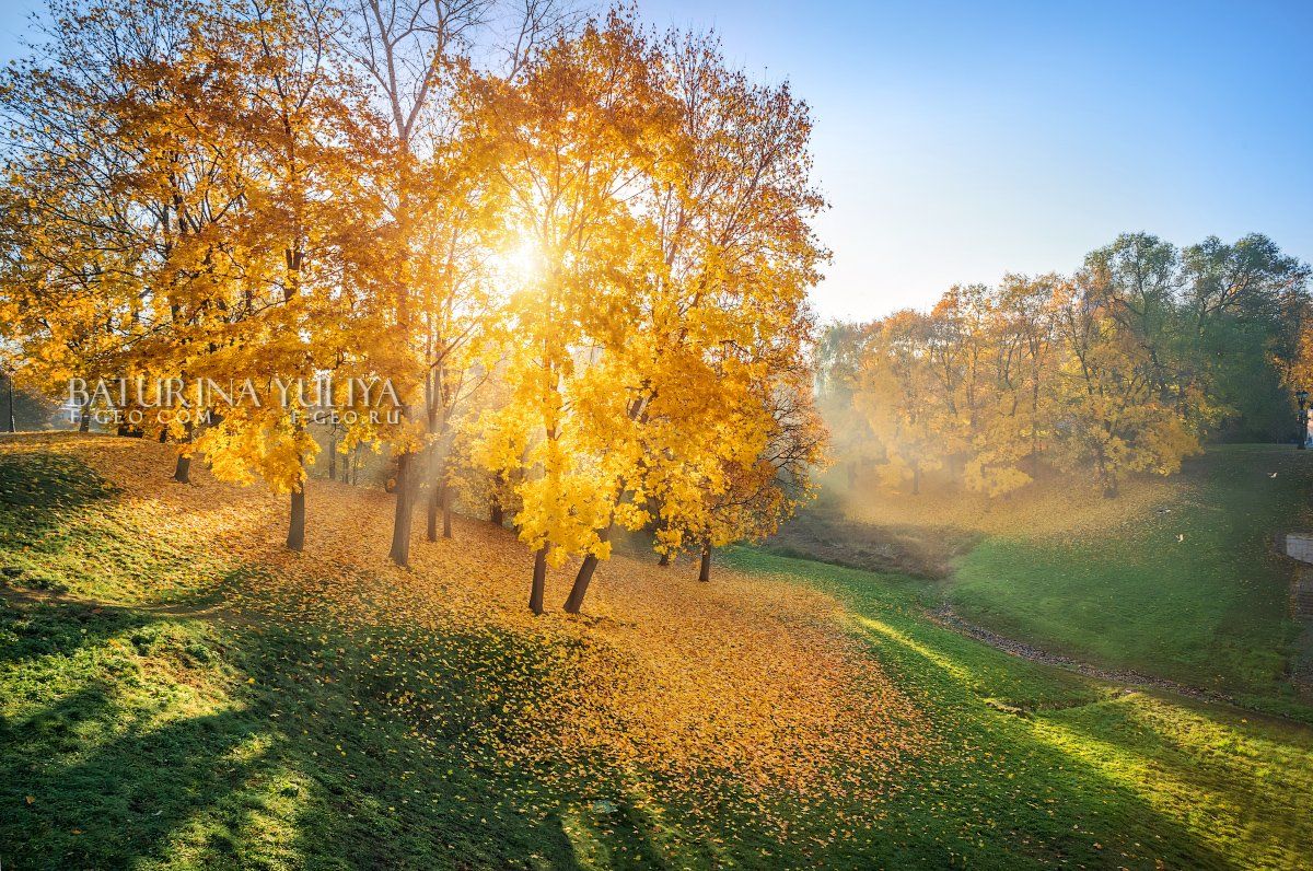 москва, царицыно, осень, пейзаж, Юлия Батурина