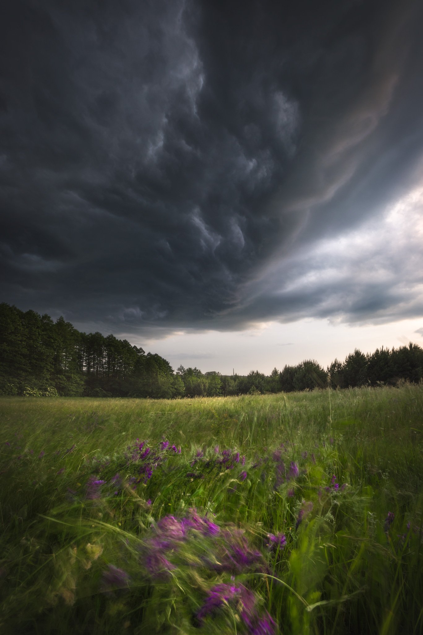 storm clouds light flowers outdoors drama sky Podlasie Poland, Maciej Warchoł