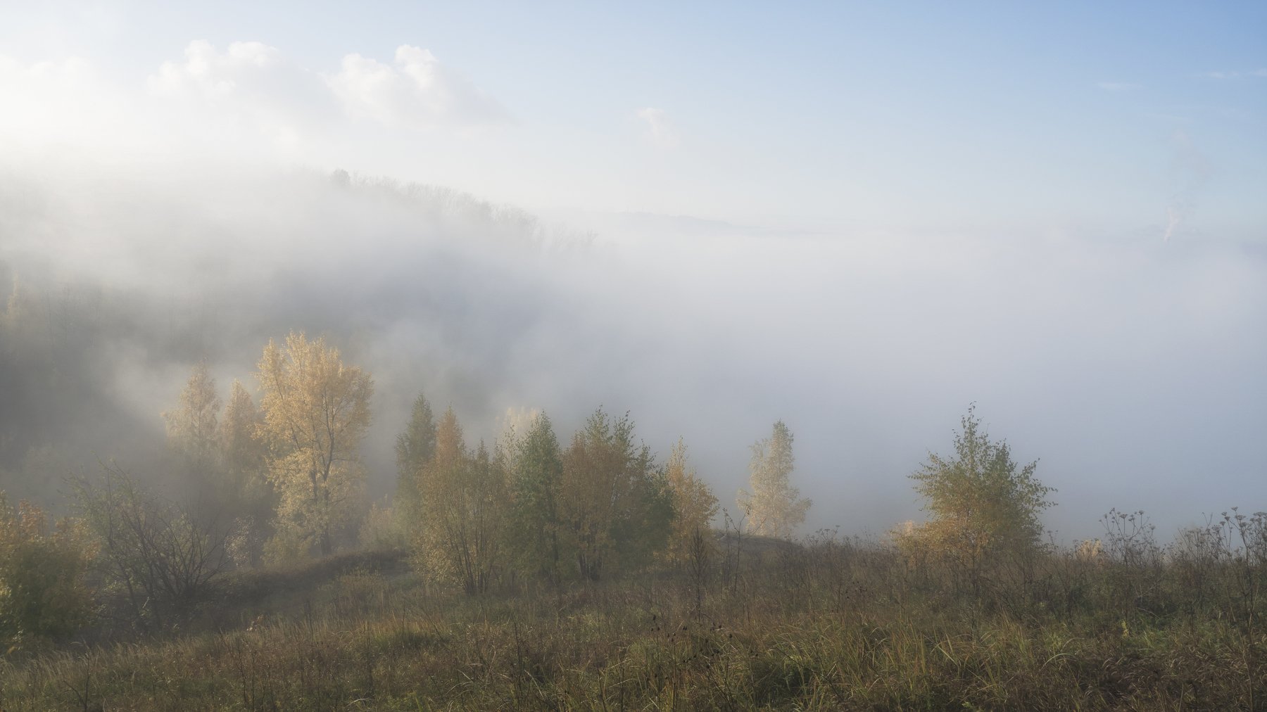 октябрь. утро. туман., Андрей Колесов