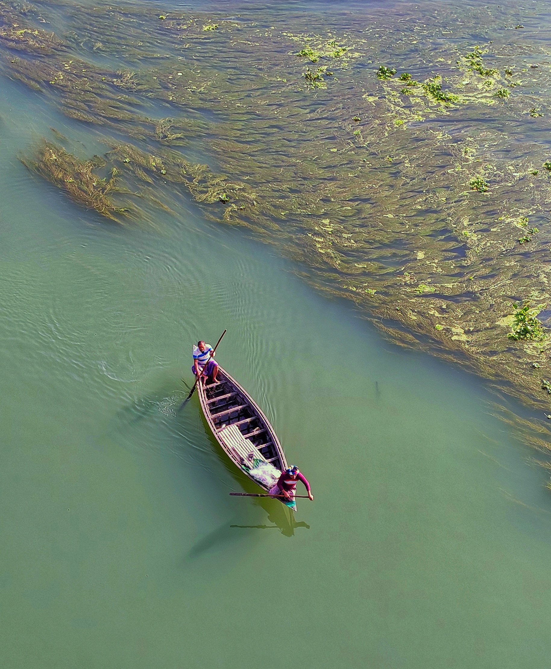#river, #boats, #alga, #green, #bangladrsh, Kajol Dey