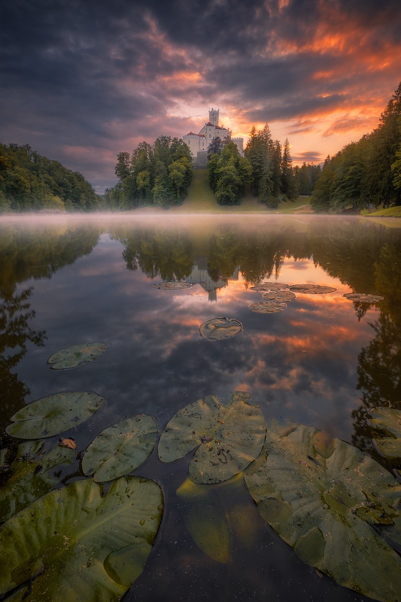 trakoscan, croatia, landscape, fog, mist, clouds, sky, reflection, tree, forest, mist, sunrise, Roberto Pavic