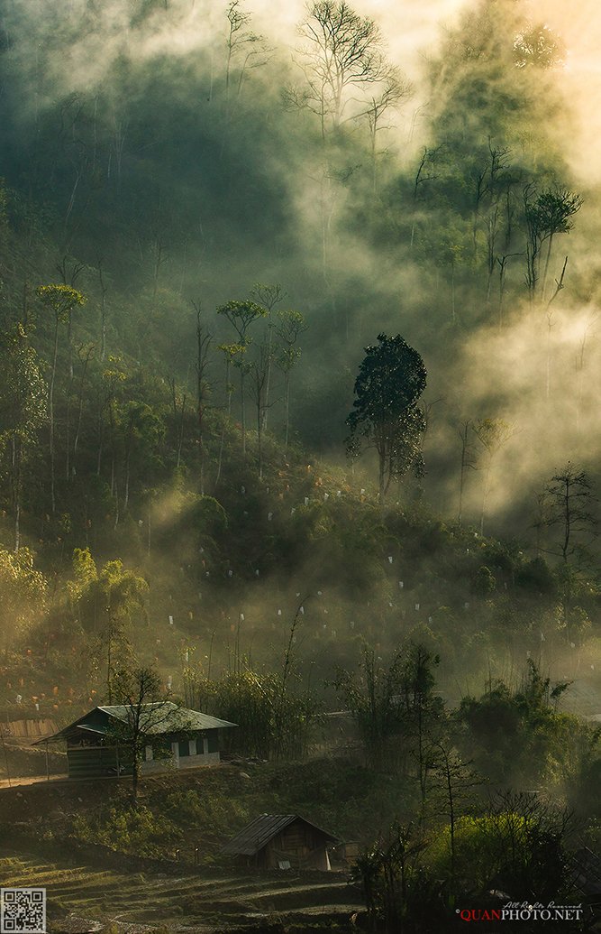 quanphoto, landscapes, morning, sunlight, sunshine, rays, trees, village, nature, vietnam, rural, dreaming, forest, quanphoto