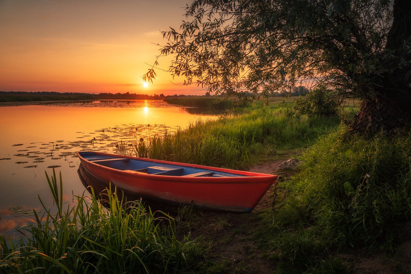 bug, river, boat, sunrise, sun, tree, water, landscape, nature, morning, , Artur Bociarski