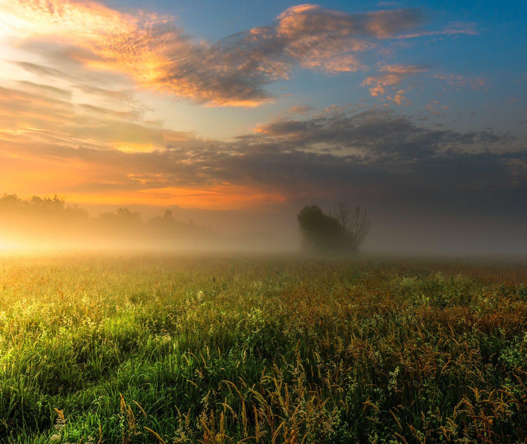 sunrise,fog,mist,landscape,sky,clouds,trees,forest,nature,dawn,summer,nikon,light,field,, Krzysztof Tollas