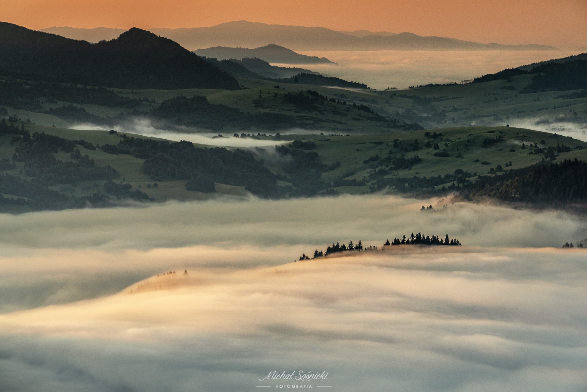 #poland #foggy #sunrise #mountains #landscape #photo #amazing #nature #pieniny, Michał Sośnicki