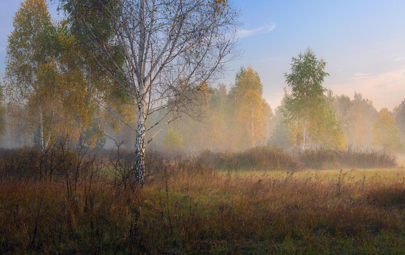 луг, осень, октябрь, утро, рассвет, туман, Галанзовская Оксана