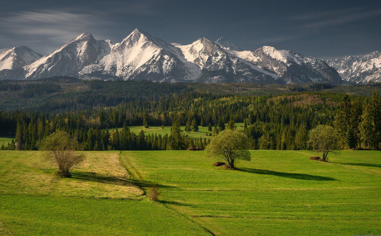 #landscape #panoramic #photo #nikon #poland #adventure #sunrise #mountains #outdoors #nature #tree #meadow #forest #snow, Rafał Bujakowski