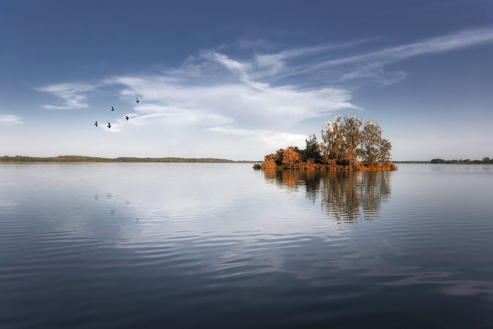 lake, poland, island, trees, minimalism, birds, spring, sky, Patrycja Towarek