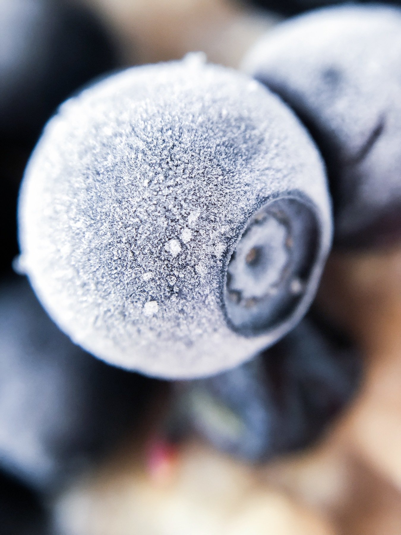 , Вероника Денисова