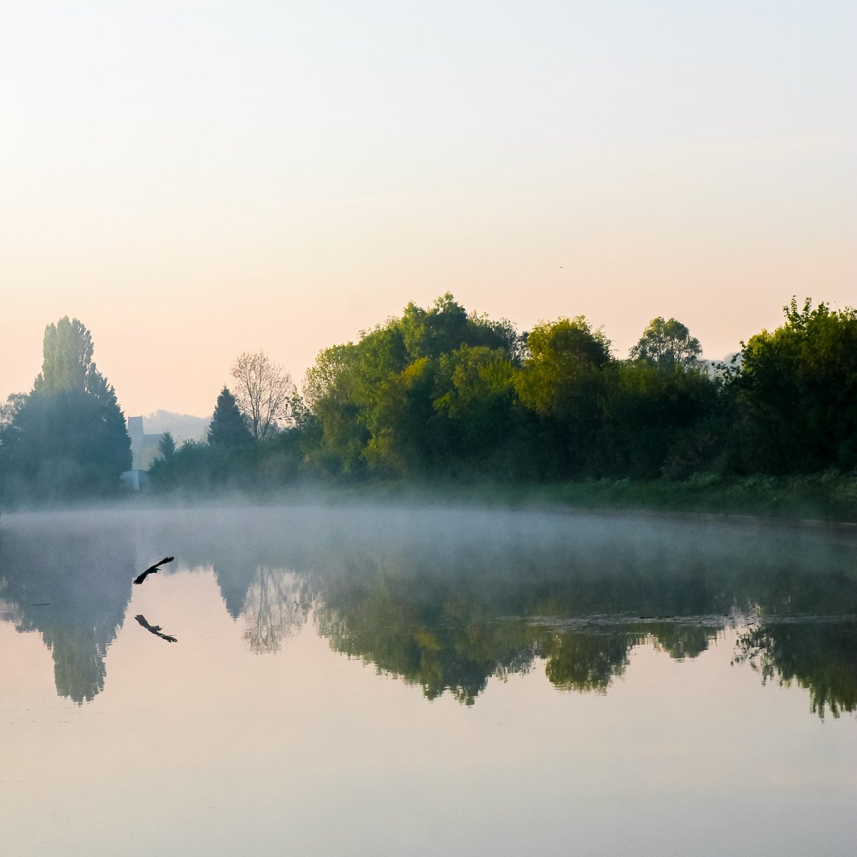 цапля, утро, река, туман, Европа, вода, отражение,, Сергей Козинцев