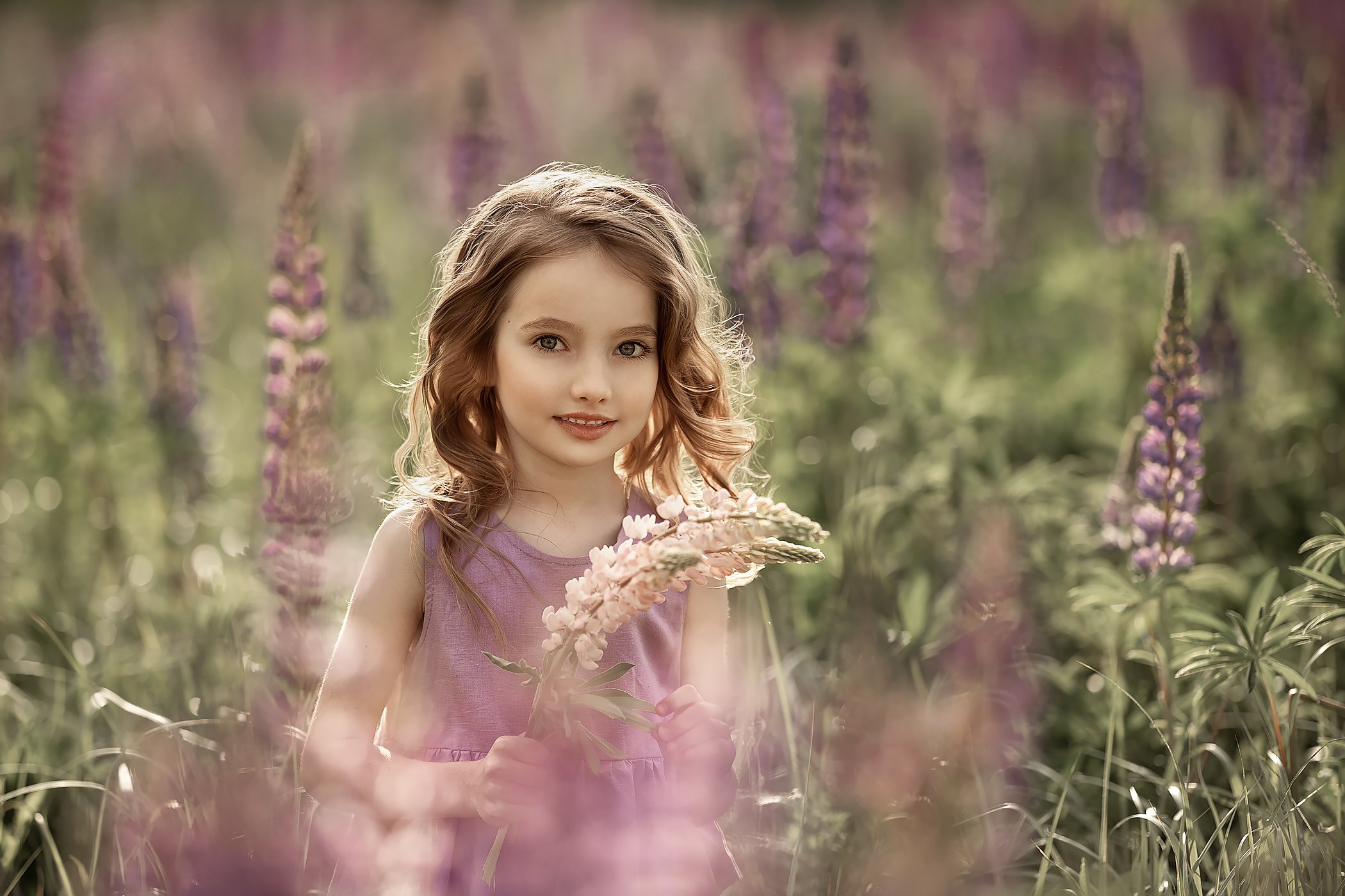 детский портрет  портрет  люпины цветы, Елена Соловьёва