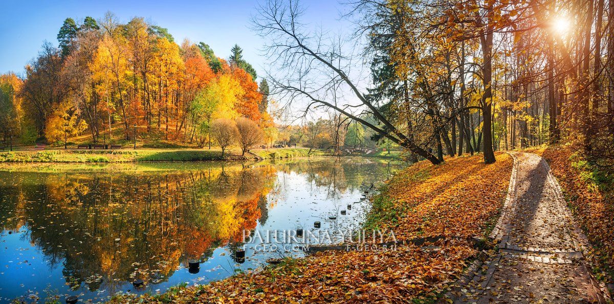 москва, царицыно, осень, пейзаж, Юлия Батурина