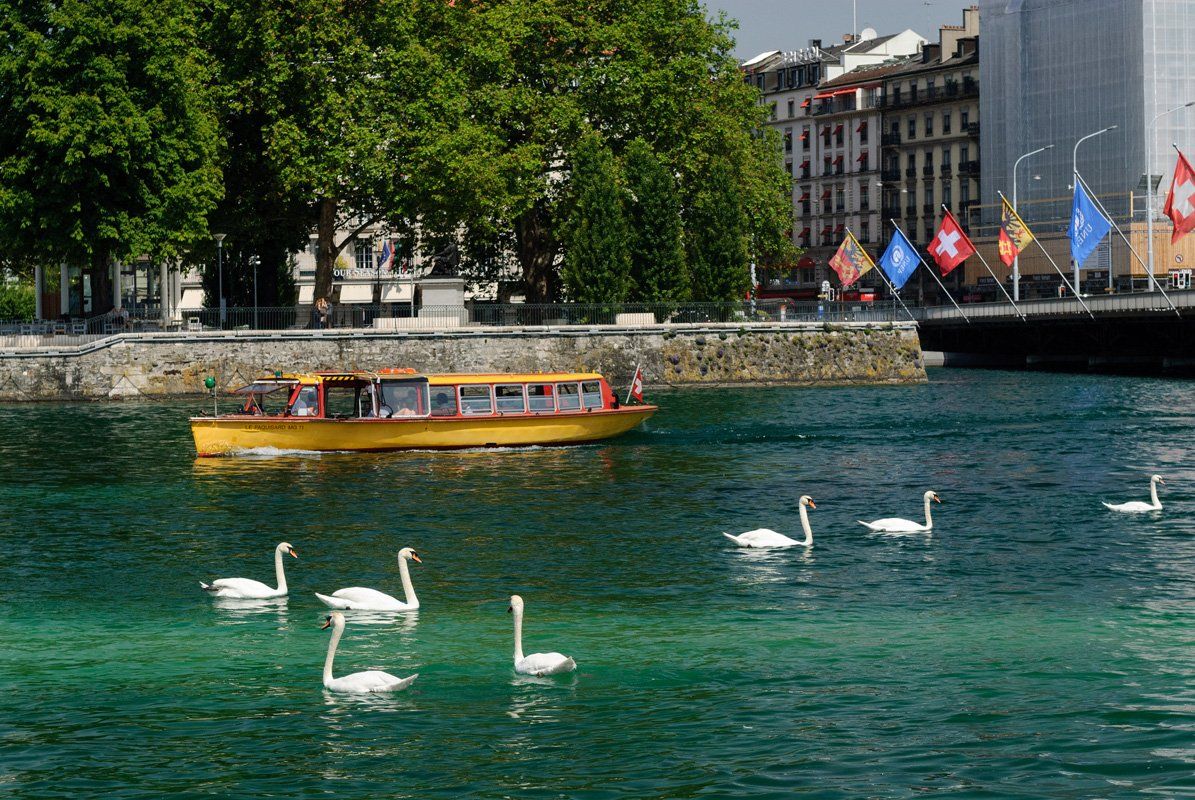 , Анатолий Поятэ