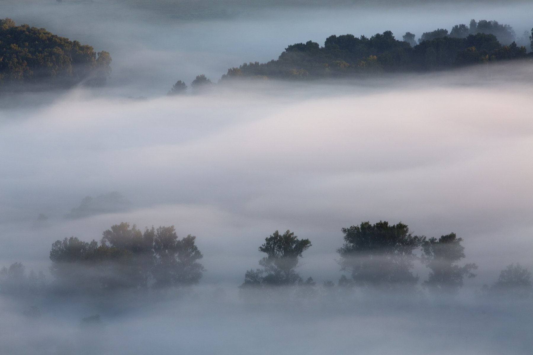 РОССИЯ, ПЕЙЗАЖ, ПРИРОДА, УТРО, ТУМАН,ДЕРЕВЬЯ, ДОЛИНА, LANDSCAPE,NATURE,FOG,MORNING,URAL, Олег Грачёв