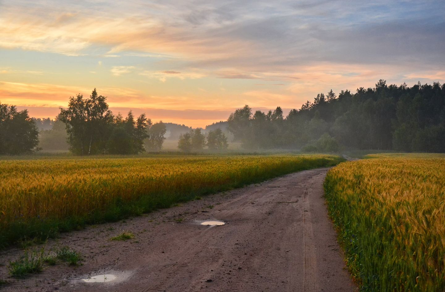 туман, поле, закат, sunset, лето, летний пейзаж, Юлия Абрамова