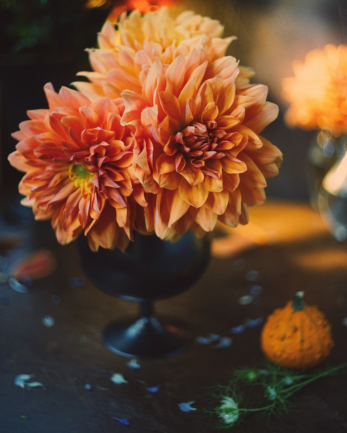 цветы, лето, цвет, букет, натюрморт, георгины, осень, Анастасия Зубкова