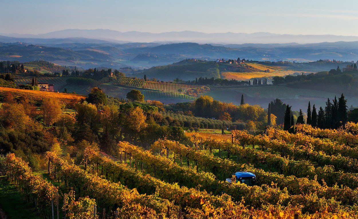 italy, tuscany, tuscan, vineyards, early morning,, Сергей Лукс
