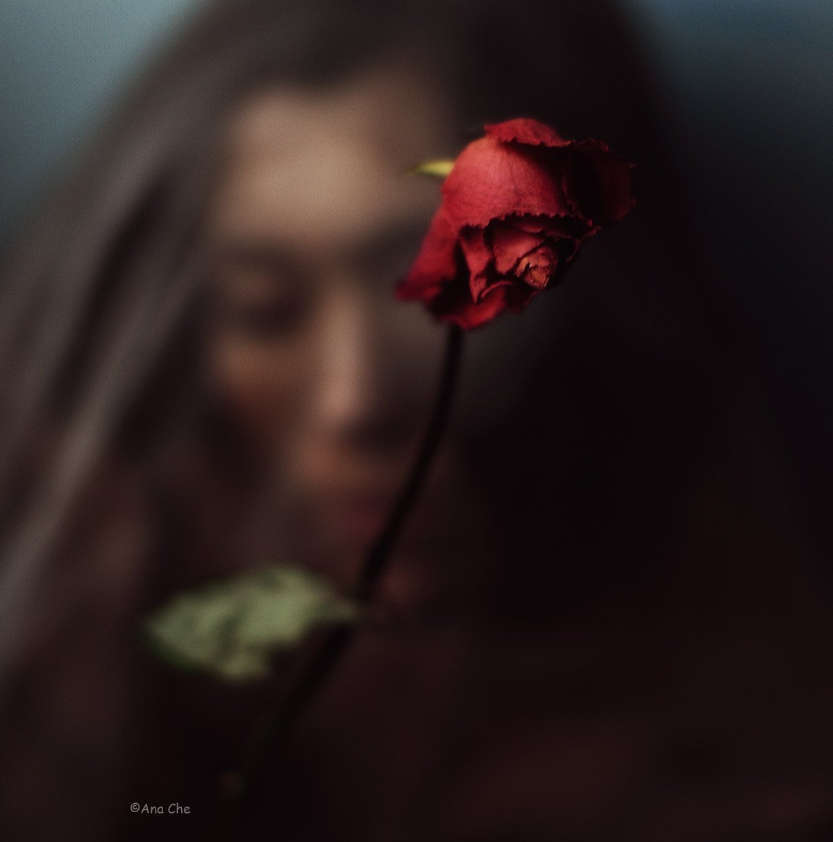портрет, цветы, дыхание, Ana_Che