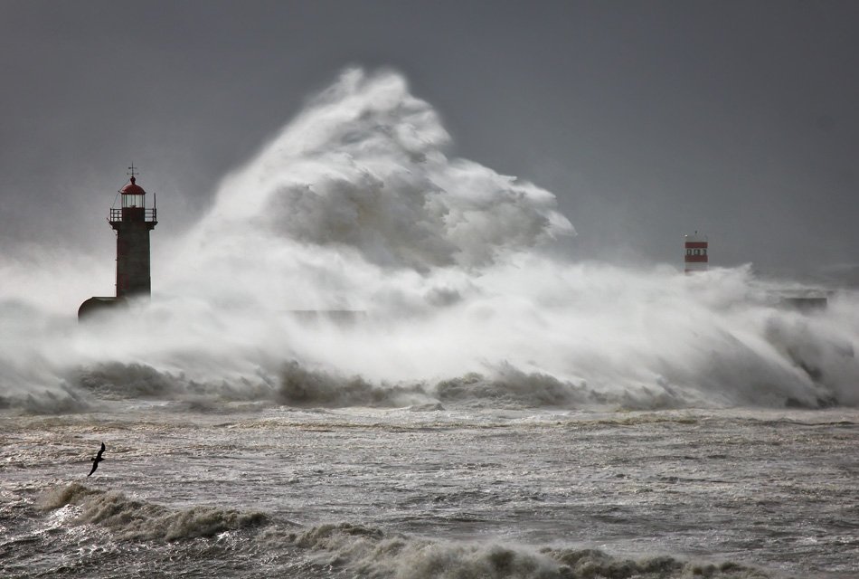 , Veselin Malinov