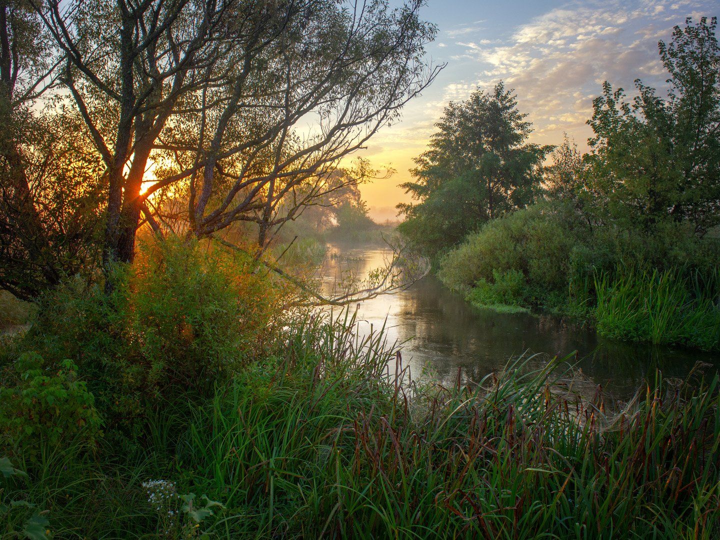 пейзаж, утро, туман, волчья, рассвет, река, landscape, morning, fog, dawn, river, Виктор Тулбанов