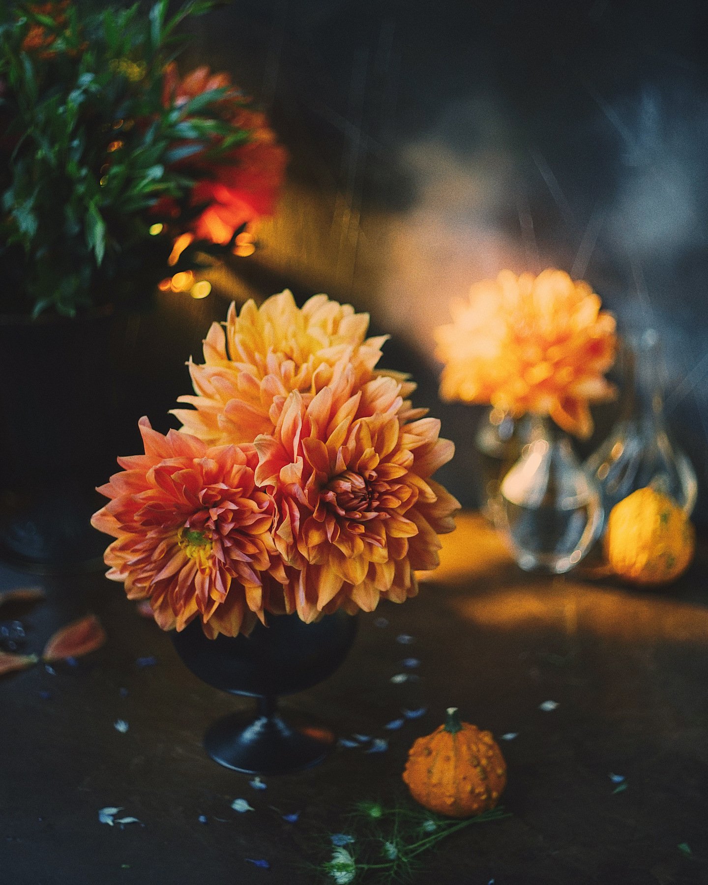 цветы, лето, цвет, букет, натюрморт, георгины, осень, Анастасия Зубкова
