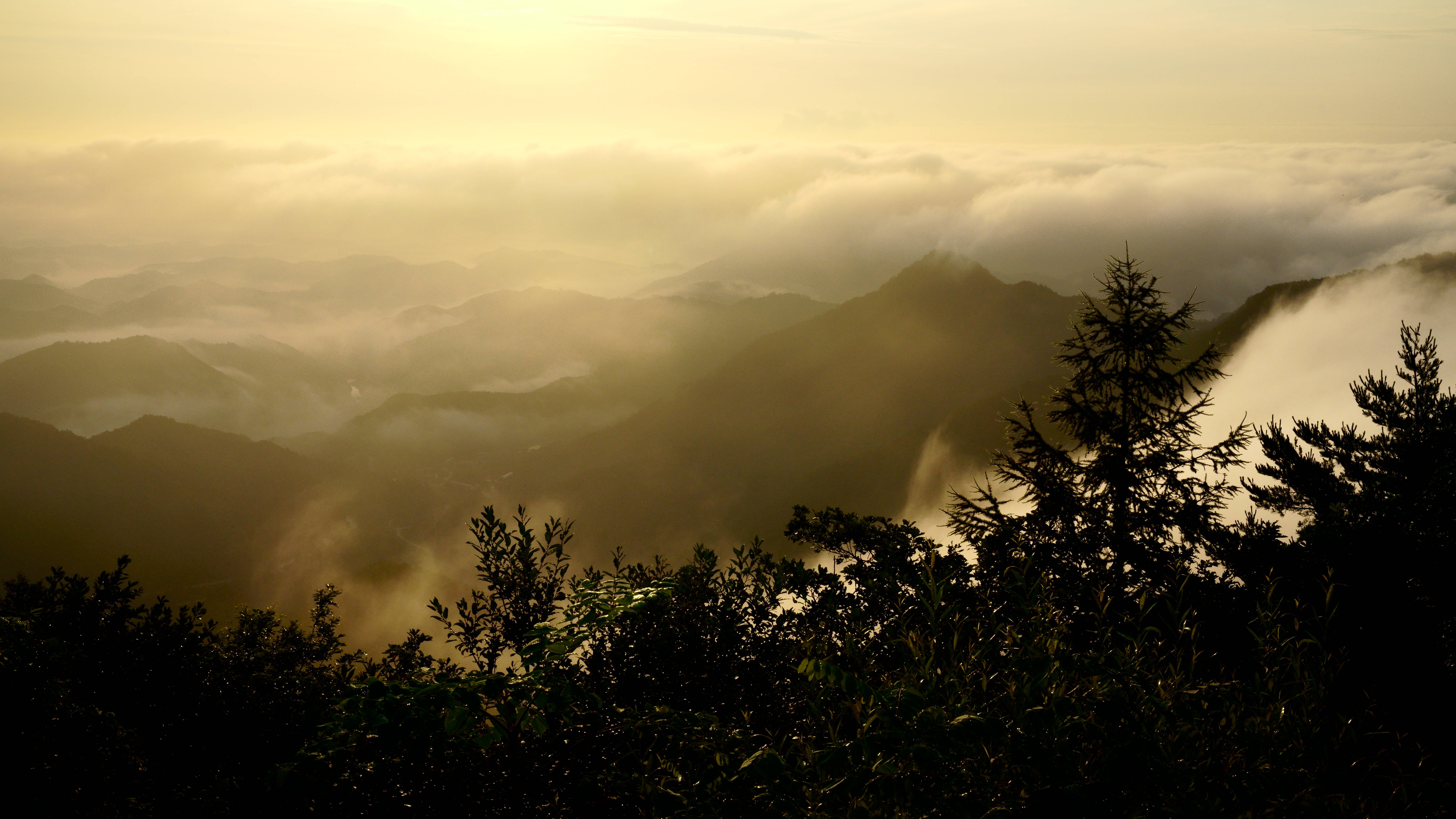 south korea, gangwondo, summer, mountain, nature, morning, rime, fog, forest, mist, clouds, sunlight,, Shin