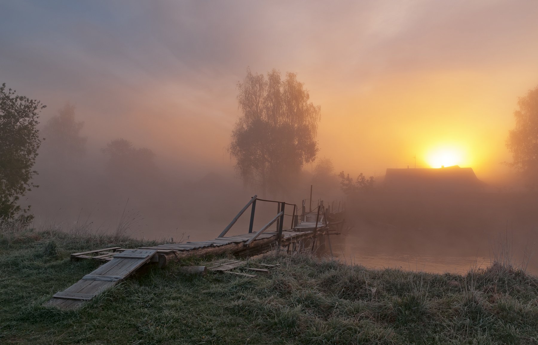 утро, свислочь, туман, пейзаж, Александр Гвоздь