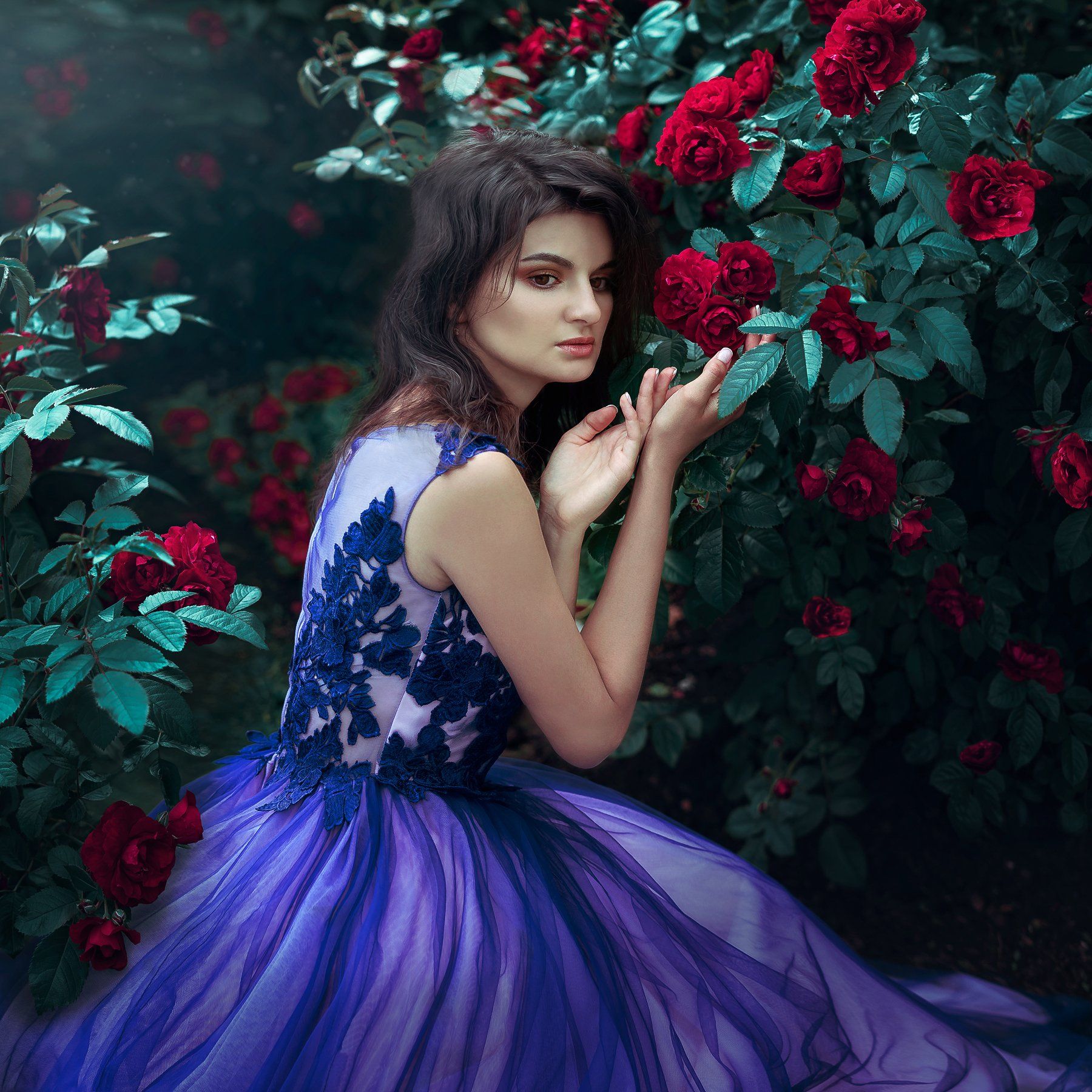 roses, rose, model, girl. violed, red, garden, flower,  floral, blossom, dress, beauty, fairy, Екатерина Кулакова