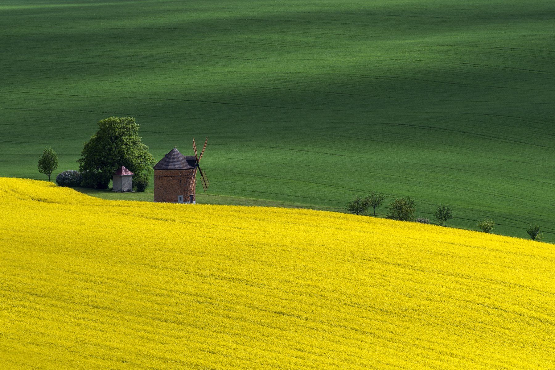 landscape, moravia, windmill, green, yellow,, Adrian Stanica