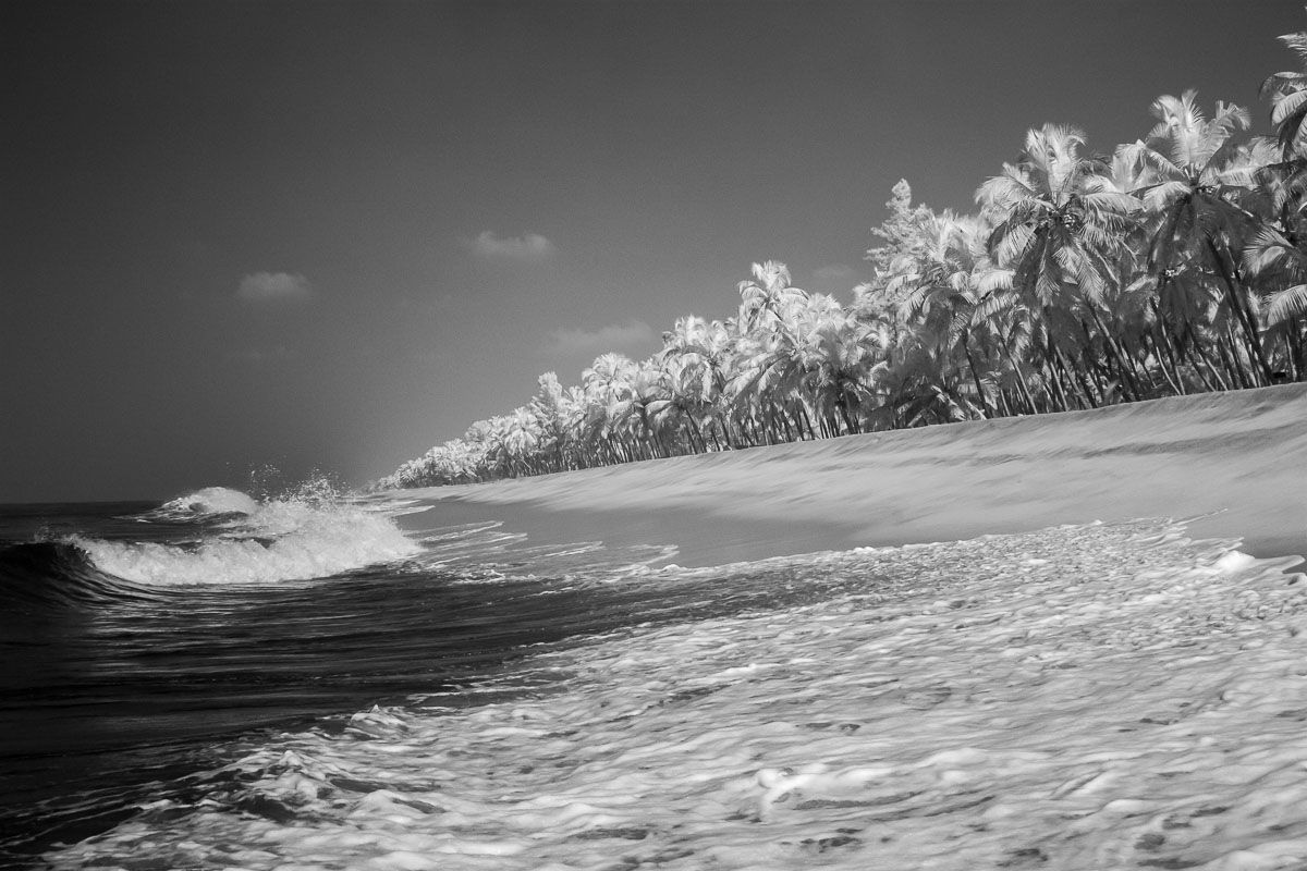 индия, прибой, пальмы, берег, индийский океан, ir, инфракрасное фото, путешествия, Сергей Козинцев