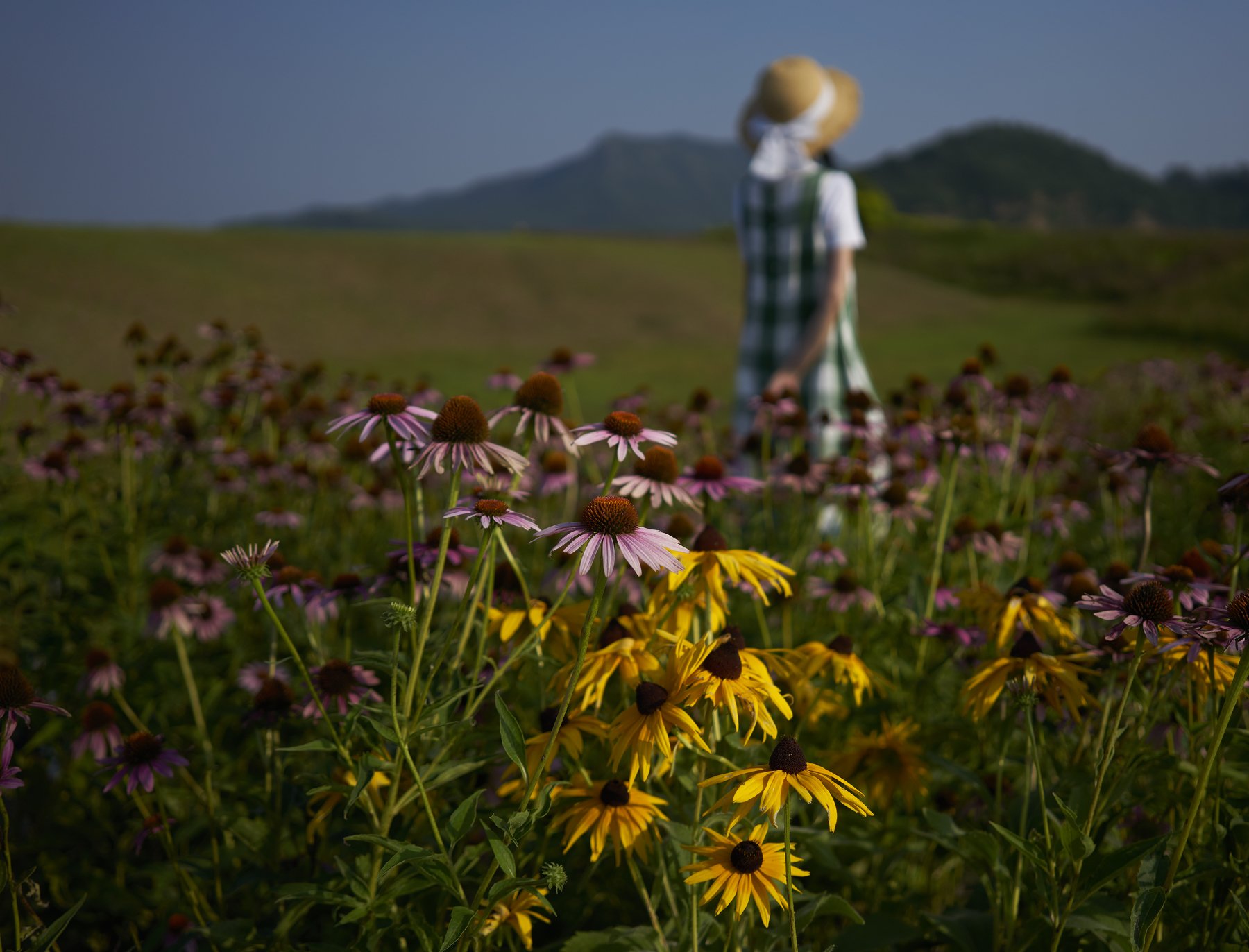 mood portrait, landscapes, zhang ike