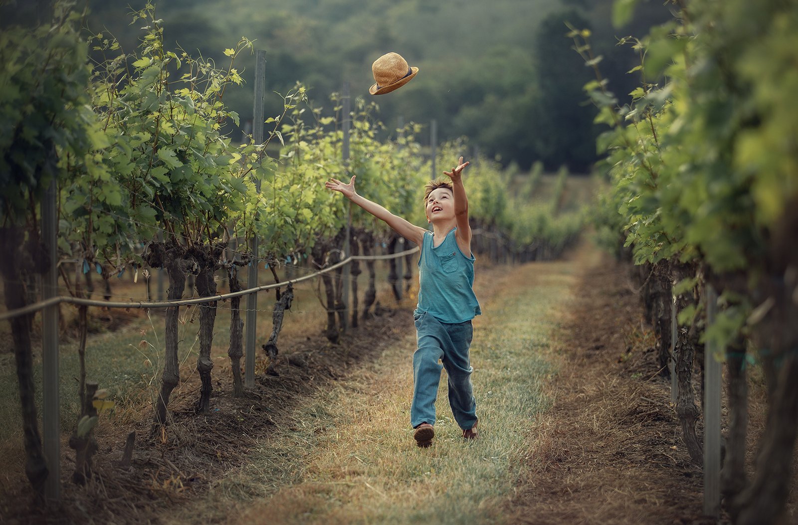 виноградник мальчик лето радость, Мила Силина