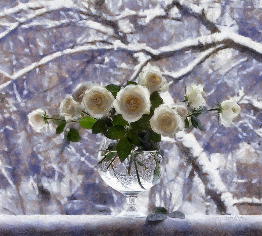 натюрморт, цветы, , розы, зима, снег, Наталья Кузнецова (Nateletro)