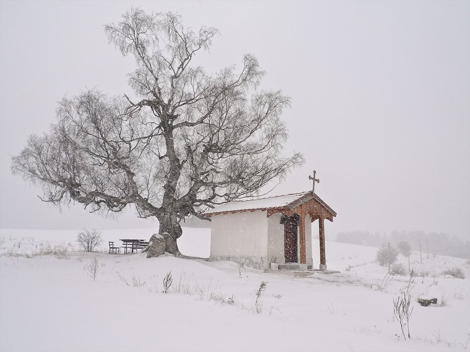 , Светозар Кръстев