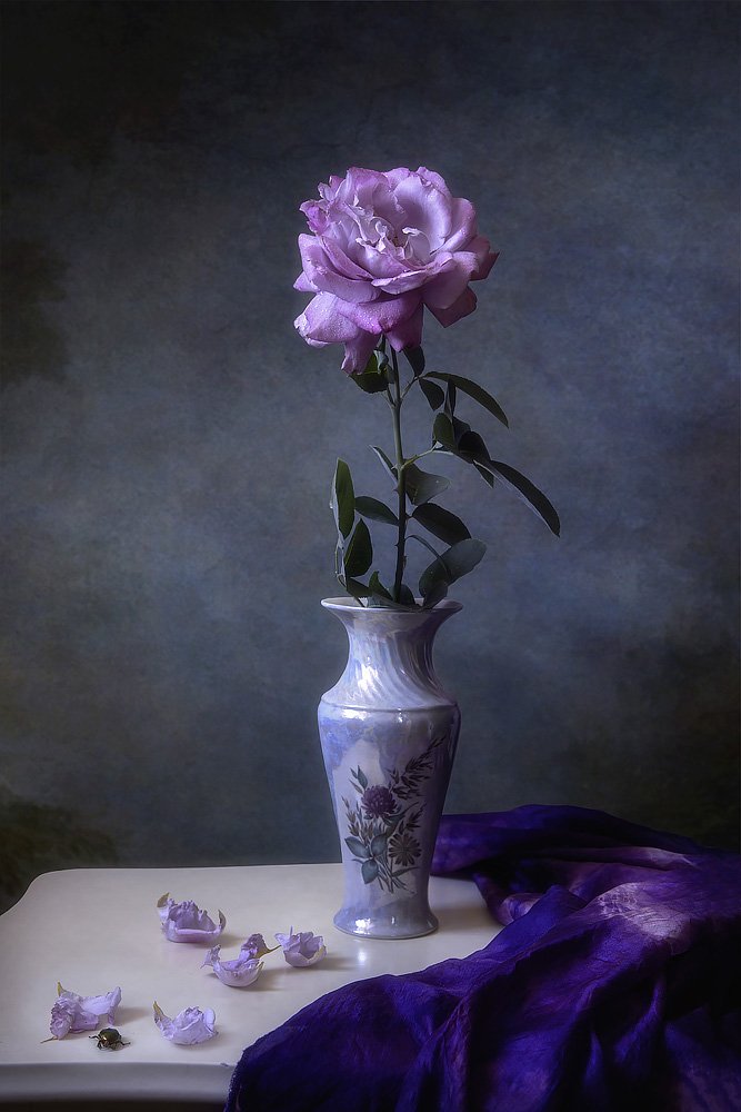 натюрморт, роза, винтажный, сумерки, мягкий свет, художественное фото, Ирина Приходько