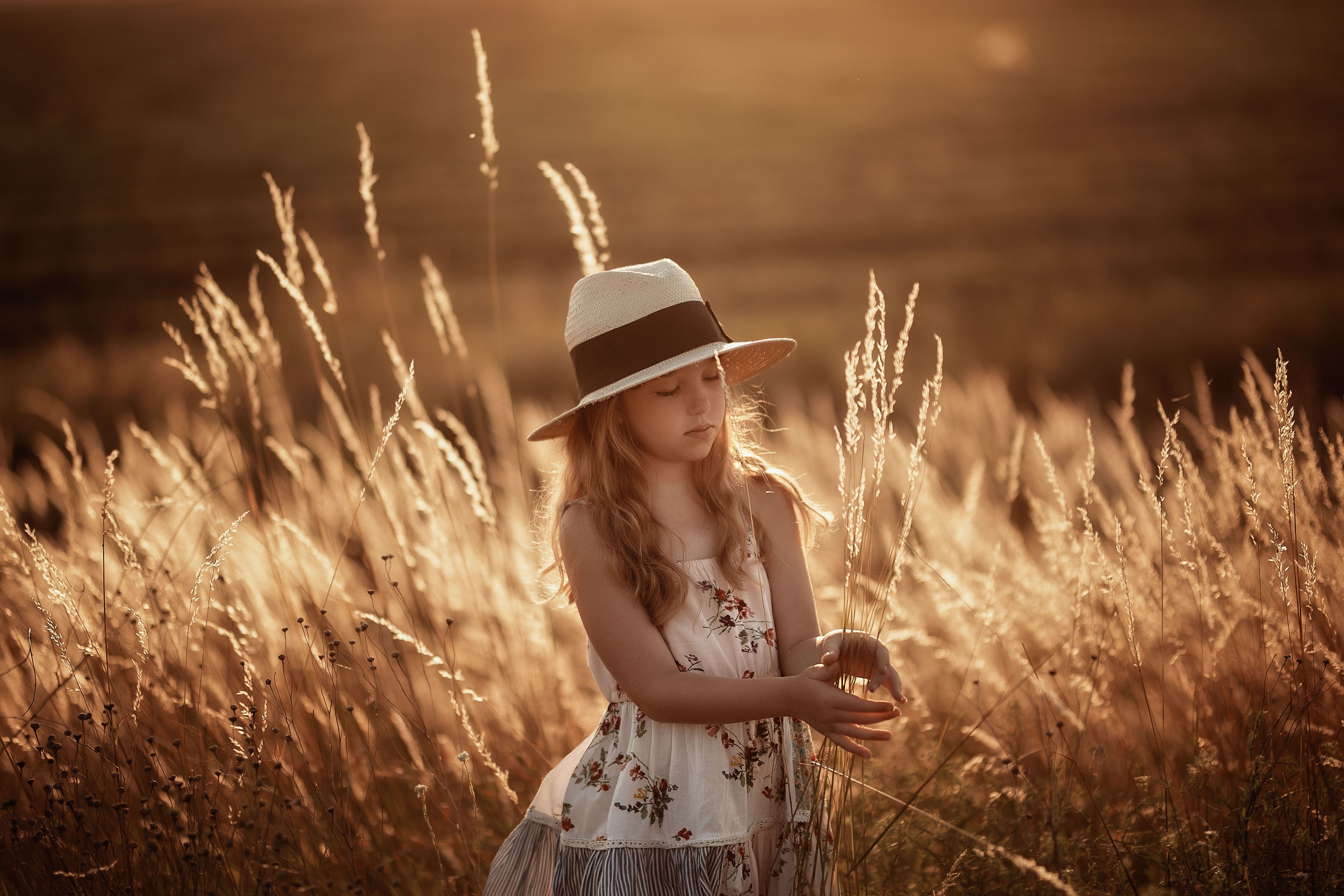 пшеница лето вечер закат девочка шляпа детство природа поле свет , Марина Еленчук