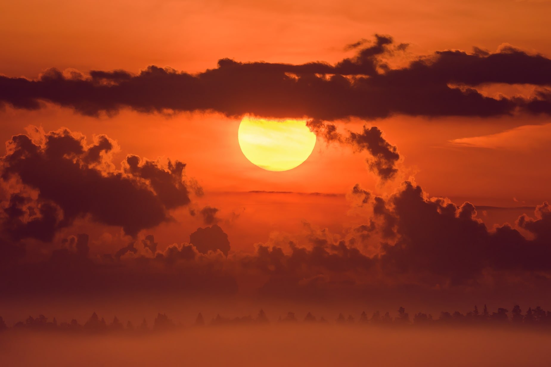 солнце, солнечный диск, солнечно, рассвет, оранжевый свет, летнее утро, силуэт леса, лес, даль, облака, объёмные облака, кучевые облака, восход, огненный шар, туман, Ксения Соварцева