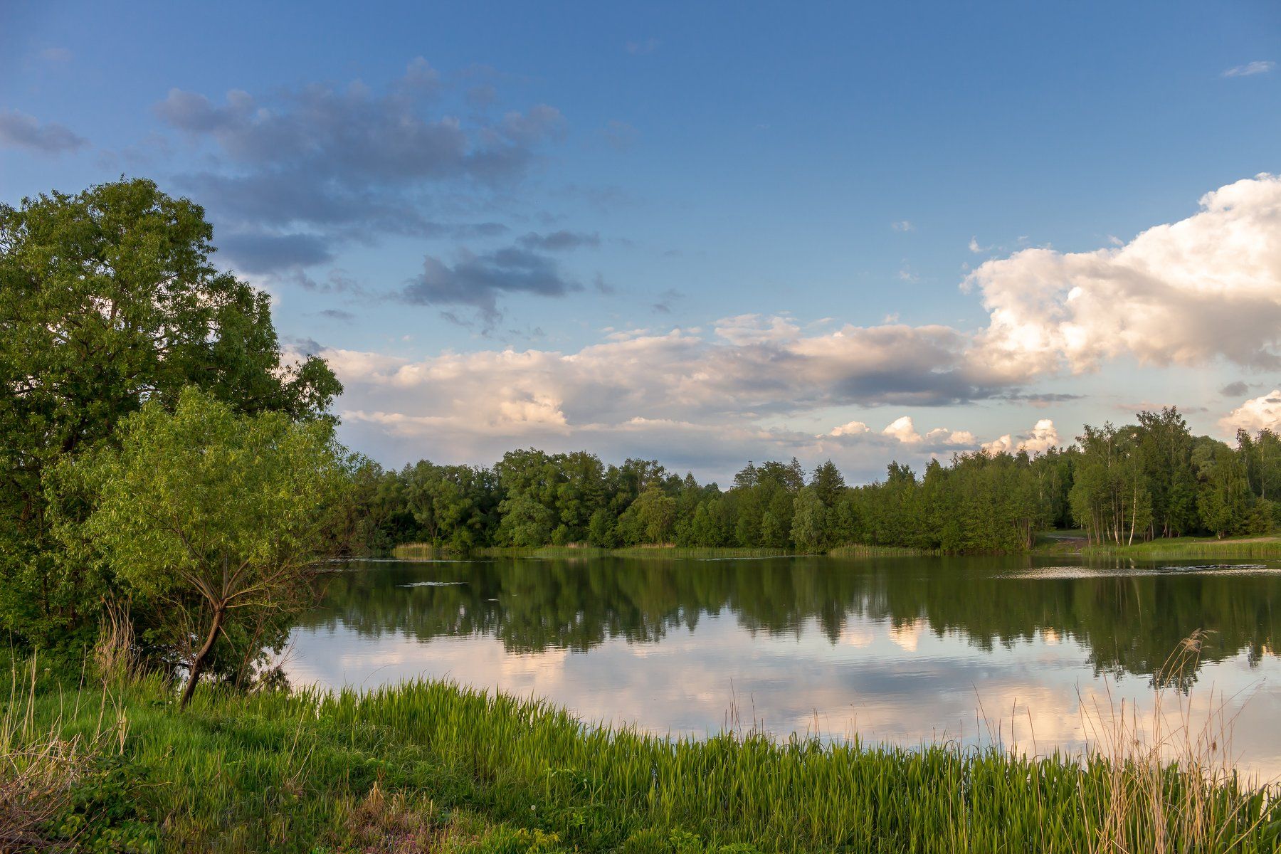 река, озеро, облака, лето, лес, вода, Руслан Востриков