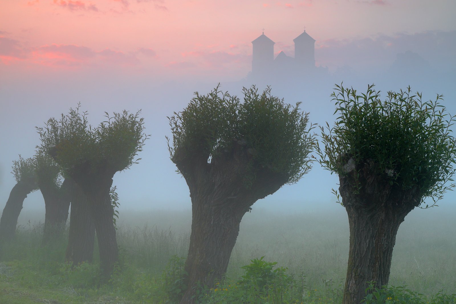 village, willow, monastery, tower, mood, mist, fog, morning, sunrise, summer, tyniec,, Jacek Lisiewicz