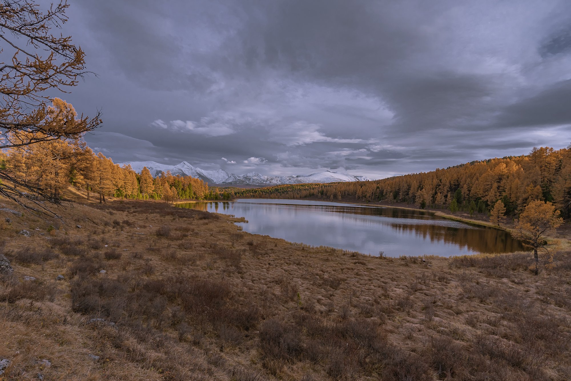 алтай,горный алтай,осень,закат,киделю, Евгений Шестаев